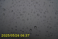 Img20250526_063714.jpg