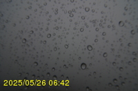 Img20250526_064214.jpg