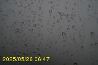 Img20250526_064714.jpg