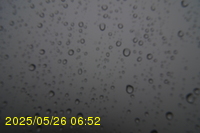 Img20250526_065214.jpg
