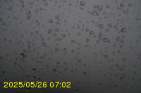 Img20250526_070214.jpg