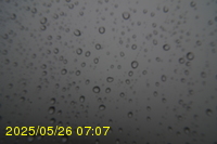 Img20250526_070714.jpg