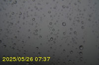 Img20250526_073714.jpg