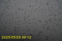 Img20250526_091215.jpg