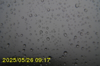 Img20250526_091715.jpg