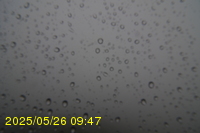 Img20250526_094715.jpg