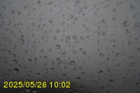 Img20250526_100215.jpg