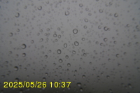 Img20250526_103715.jpg