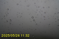 Img20250526_113215.jpg