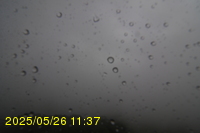 Img20250526_113715.jpg