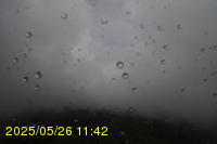 Img20250526_114215.jpg