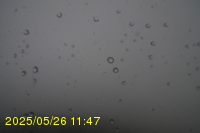 Img20250526_114715.jpg