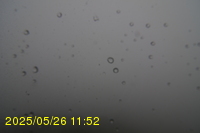 Img20250526_115215.jpg