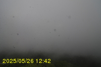 Img20250526_124215.jpg