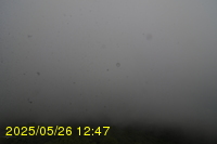 Img20250526_124715.jpg