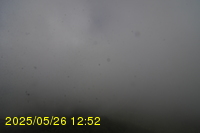Img20250526_125215.jpg