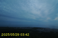 Img20250529_034226.jpg