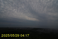 Img20250529_041726.jpg
