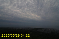 Img20250529_042226.jpg