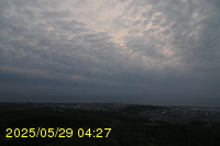 Img20250529_042726.jpg