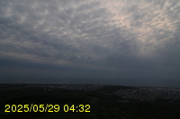 Img20250529_043226.jpg