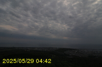 Img20250529_044226.jpg