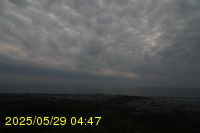 Img20250529_044726.jpg