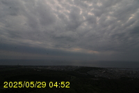 Img20250529_045226.jpg