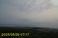 Img20250529_071726.jpg
