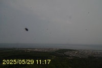 Img20250529_111727.jpg
