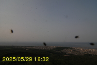 Img20250529_163228.jpg