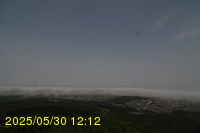 Img20250530_121231.jpg