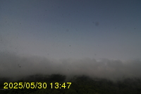 Img20250530_134731.jpg