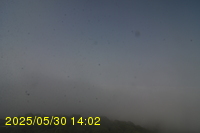 Img20250530_140231.jpg