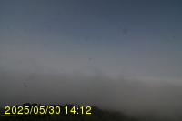 Img20250530_141231.jpg