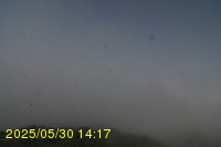 Img20250530_141731.jpg