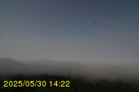Img20250530_142231.jpg
