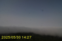 Img20250530_142731.jpg
