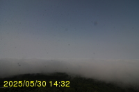 Img20250530_143231.jpg