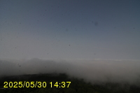 Img20250530_143731.jpg