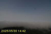 Img20250530_144231.jpg