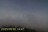Img20250530_144731.jpg