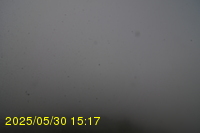 Img20250530_151731.jpg