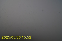 Img20250530_155231.jpg