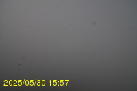 Img20250530_155731.jpg