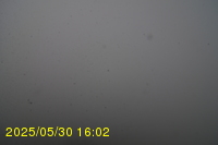 Img20250530_160231.jpg