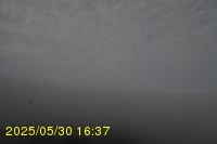 Img20250530_163732.jpg