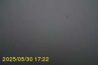 Img20250530_172232.jpg