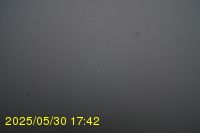 Img20250530_174232.jpg
