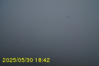 Img20250530_184232.jpg